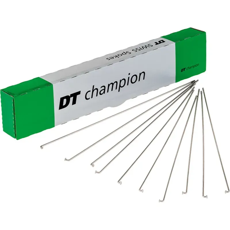 DT Swiss Champion 100-pack Silver Spokes - 2x180mm