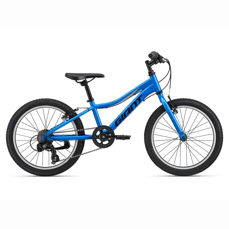 Giant XTC Jr 20 Lite Kids Trail Bike in Azure Blue