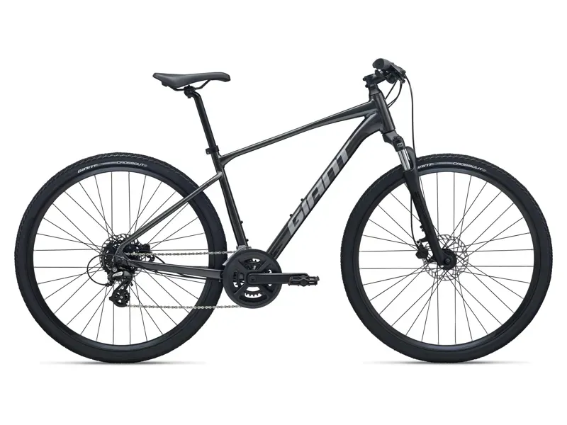Giant Roam 4 Road Bike in Stealth Chrome