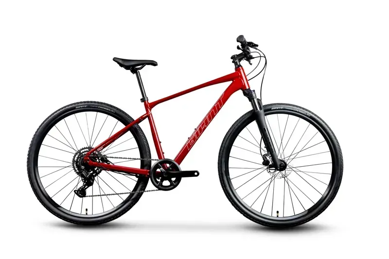Giant Roam Disk 2 Gravel Bike In Dried Chili