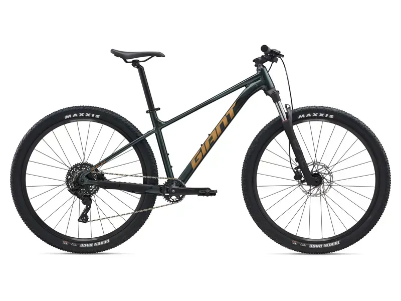 Giant Talon 2 Mountain Bike in Asphalt Green