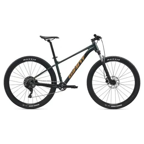 roam giant bicycle 2 bike helps you ride smooth roads Giant | Terrapin Bicycles