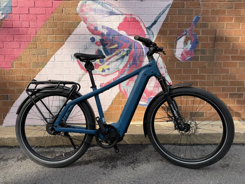Riese und Müller Charger4 GT Vario 46 petrol 750wh kiox 300-1