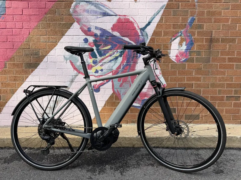 Riese und Müller Roadster Touring - Grey Matte - 56cm-1