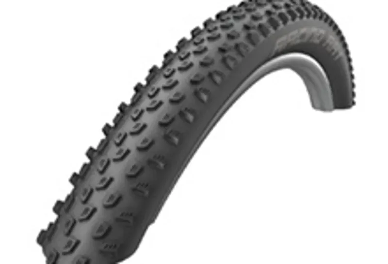 Schwalbe Racing Ray Tire - 27.5 X 2.25 Clincher Folding Black Performance Addix Black 27.5 x 2.25-1